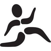 ACTIVE 4 LIFE CHIROPRACTIC, PLLC
