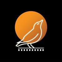 Starlings Production logo - Similar company to Perform Well