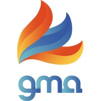 Amine logo - Similar company to Next Years Gear