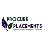 Procure Placements logo - Similar company to Rayburn Holdings