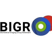 Biomedical Imaging Group Rotterdam logo - Similar company to Ai Accelerator | Erasmus Mc
