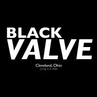 Black Valve Media logo - Similar company to Blitz Studios, Llc.