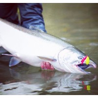 Wicked Lures LLC
