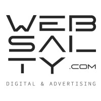 Websalty logo - Similar company to Digital Creators Studio