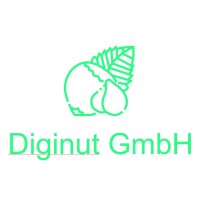 Diginut GmbH logo - Similar company to Revoltgamez