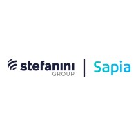 Cosapi Data