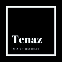 Tenaz logo - Similar company to Tenaz Group