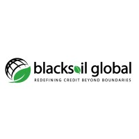 BlackSoil Global logo - Similar company to Stravelynta