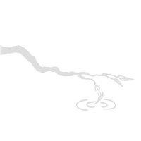 Elder Creek Design Studio logo - Similar company to Baker Design Group, Inc.