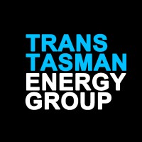 Trans Tasman Energy Group logo - Similar company to Nems