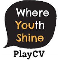 PlayCV logo - Similar company to Advanced Interconnect Ltd. Liability Co.