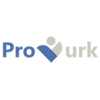 Provurk IT Consulting logo - Similar company to Sourceworks Consulting