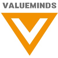 Valueminds logo - Similar company to Valueminds Techno Solutions