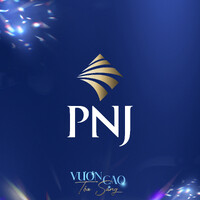 PNJ Group logo - Similar company to Long Beach Group