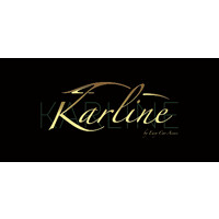 KARLINE AGENCY logo - Similar company to Visual Harmony