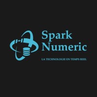 Spark Numeric logo - Similar company to Opengiscience Research