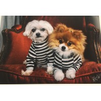 Winston Dog Boutique logo - Similar company to El Hot Dog