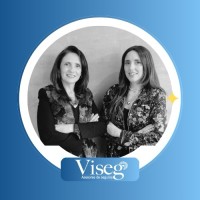 VISEG Asesores de Seguros logo - Similar company to Geek Technology Solutions