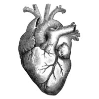 GCB Medical Supply logo - Similar company to Select Design, Inc.