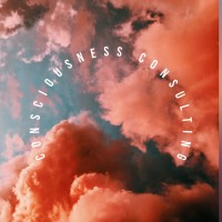 Consciousness Consulting logo - Similar company to Consciousness University