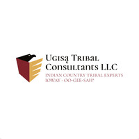 Ugisa Tribal Consultants LLC logo - Similar company to Heroda Bikax^E Consulting Llc