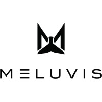Meluvis logo - Similar company to Nabix Technologies