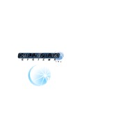 Millenium Systems Inc. logo - Similar company to Insight, Usa