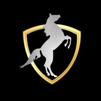 Horses Stable logo - Similar company to Horses 4 Your Consideration, Llc