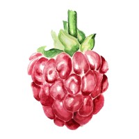 Marberry logo - Similar company to Diabex