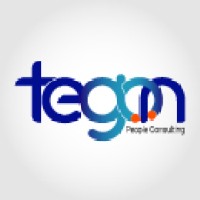 Consultants Group by Tegon logo - Similar company to Mv System