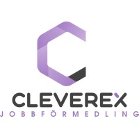 Cleverex Jobbförmedling & Utbildning logo - Similar company to Ibility