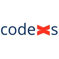 Codexs InfoTech logo - Similar company to Sparklin Digital