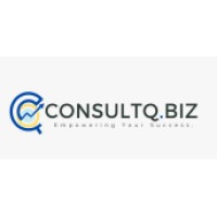 CONSULTQ.BIZ logo - Similar company to Leo Placement Consultant