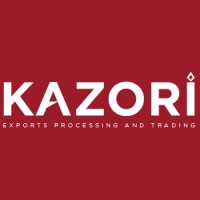 KAZORI logo - Similar company to Nedy Solutions