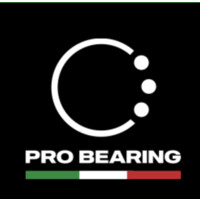 Pro Bearing Italia S.r.l. logo - Similar company to Lyra Bearing