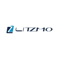 LITZMO logo - Similar company to Besv Usa