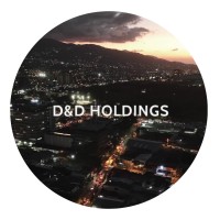 D&D HOLDINGS GROUP logo - Similar company to D&D Holding