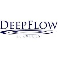 DeepFlow Services, LLC logo - Similar company to Liferight Business Advisors