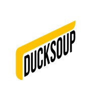 Ducksoup Creatives and Events logo - Similar company to Vam Consulting