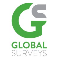 Global Surveys logo - Similar company to Stp Solutions Ltd