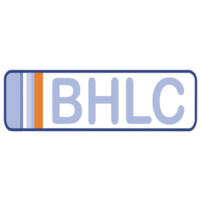 Brunswick Hub logo - Similar company to Vision Chain
