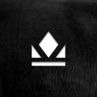Regal Cattle logo - Similar company to Saddled Montana