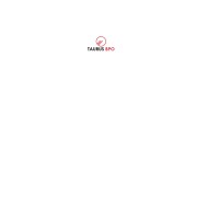 Taurus BPO Services India logo - Similar company to Prakhar Institute