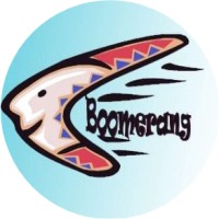 Boomerang Community Centre SCIO logo - Similar company to Feeling Strong