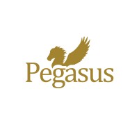 Pegasus Publishers logo - Similar company to Socialbent