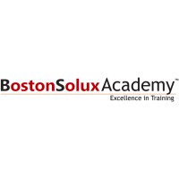 BostonSolux Academy logo - Similar company to Bostonsolux