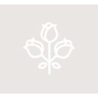 La Distribuidora CDMX logo - Similar company to Inventa Lab