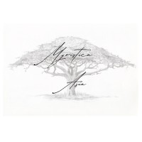 Myristica Asia Pte. Ltd. logo - Similar company to Widus Partners