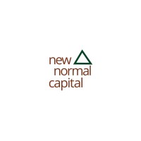 New Normal Capital logo - Similar company to Prosperity Financial Group, Inc.