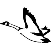 Wild Goose Art LLC